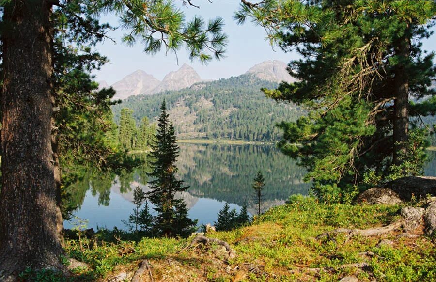саян 2000. спящие саяны ергаки. саян 2000. фото пикотару. урал горы тайга поселок.