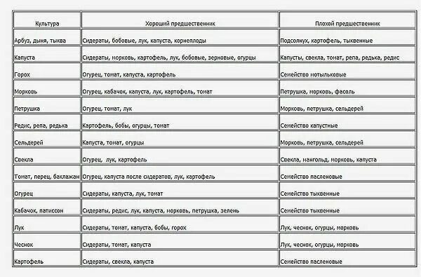 Можно ли сажать лук после капусты. Какую культуру можно сажать после кьубрики. После каких культур можно сажать клубнику. После каких культур можно сажать землянику. После чего садить чеснок.