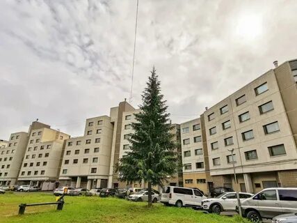 Костомукша адрес