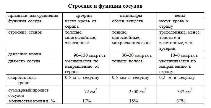 Стр сравнить. Строение и функции кровеносных сосудов таблица. таблица по биологии 8 класс кровеносные сосуды. таблица сравнения строения кровеносных сосудов. таблица по биологии 8 класс характеристика кровеносных сосудов.