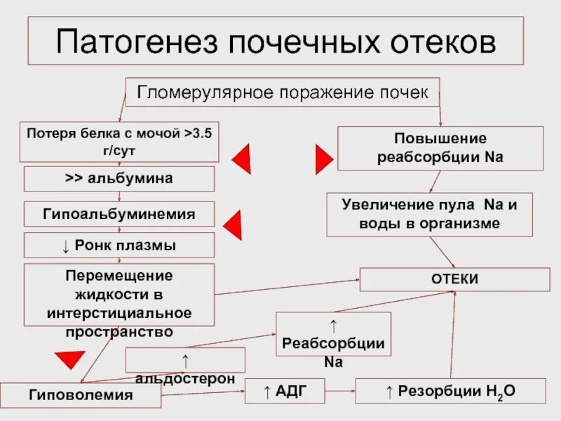 Патогенез отеков при сердечной недостаточности. Схема патогенеза сердечных отеков. схема патогенеза нефротического отека. патогенез отечного синдрома при заболеваниях почек. патогенез отеков при патологии почек.