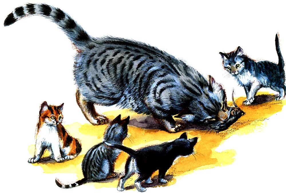 Мама принесла котенка. Кошка охотится. Кот и мыши. Кошка учит котят. Кошка ловит мышь.