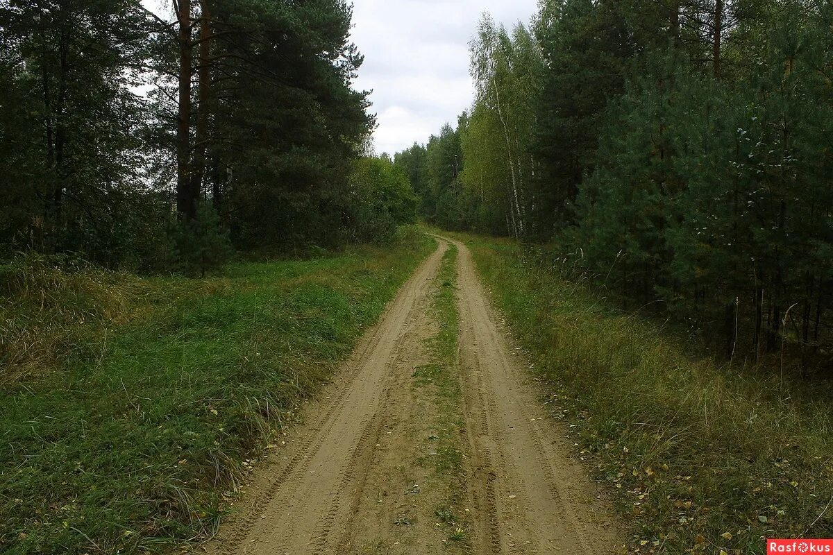 Погода покров петушинский район владимирской. Деревня Костино Владимирская область Петушинский район. Костино (Петушинский район). Деревня Аксеново Владимирской области Петушинский район. Деревня Леоново Владимирская область.