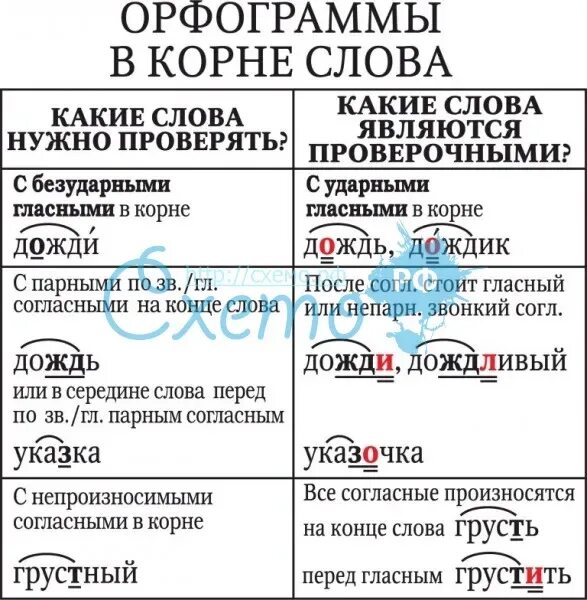 В слове класс какие орфограммы. Орфограммы вскорее слова. Орфограммы в корне слова. Орфораммы вкорееслова. Орфограмма в корне слова примеры.