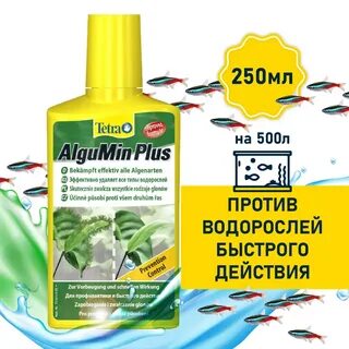 Тетра алгумин
