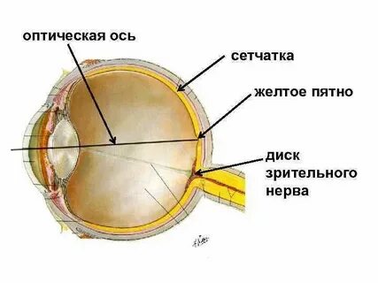 Желтые пятна зрение