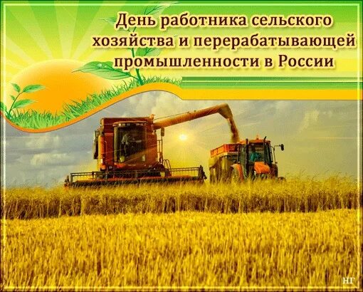 С днем работника сельского хозяйства гифки. Поздравление с днем сельского хозяйства. с днем работника сельского хозяйства. с днем работника сельского хозяйства поздравления открытки. с днем работника сельского хозяйства и перерабатывающей.