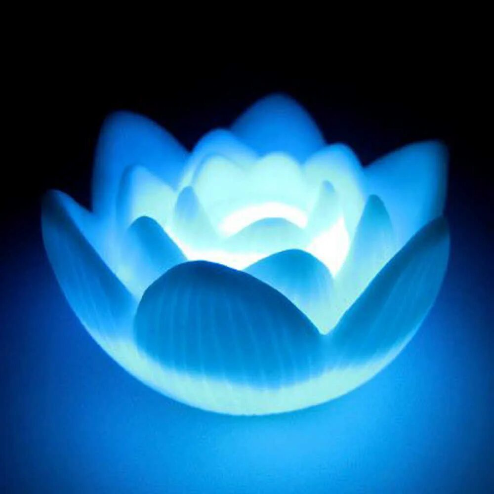 Приложение lotus lamp x