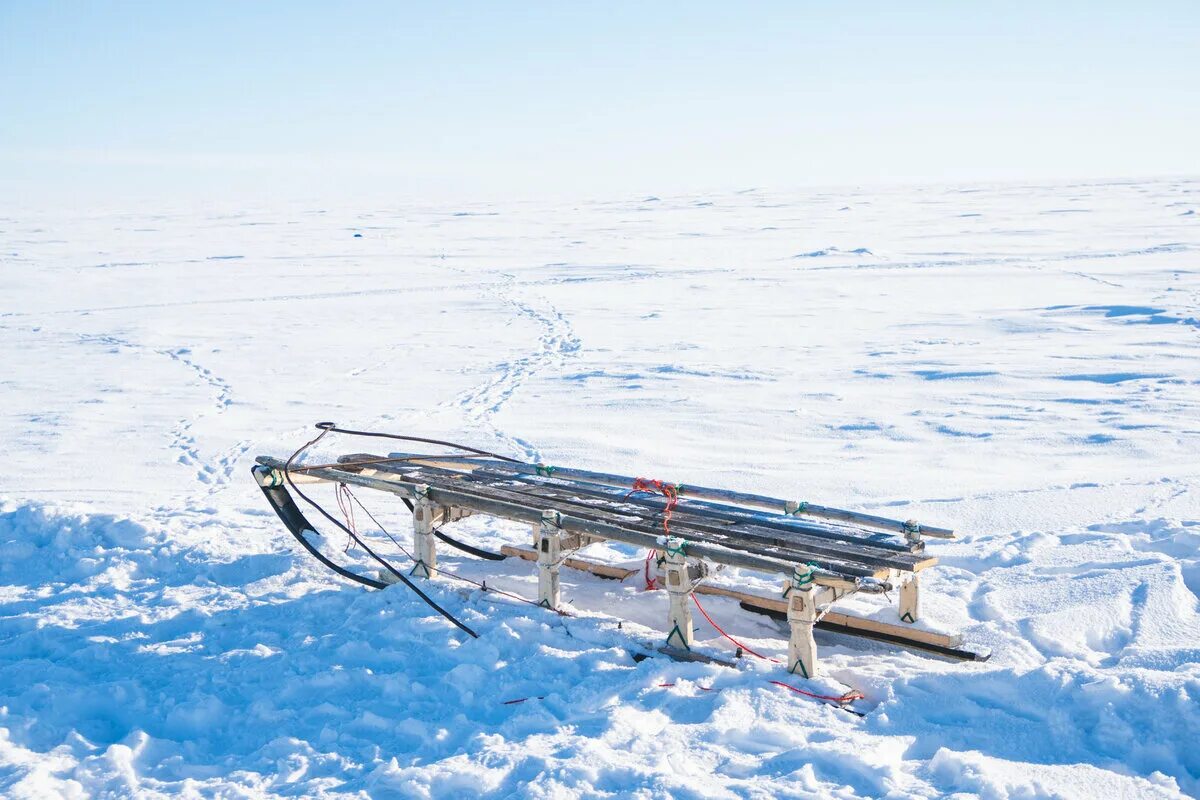 сани северных народов. варсанофьева нарты. нарты город. нарты город. нарты ханты и манси.
