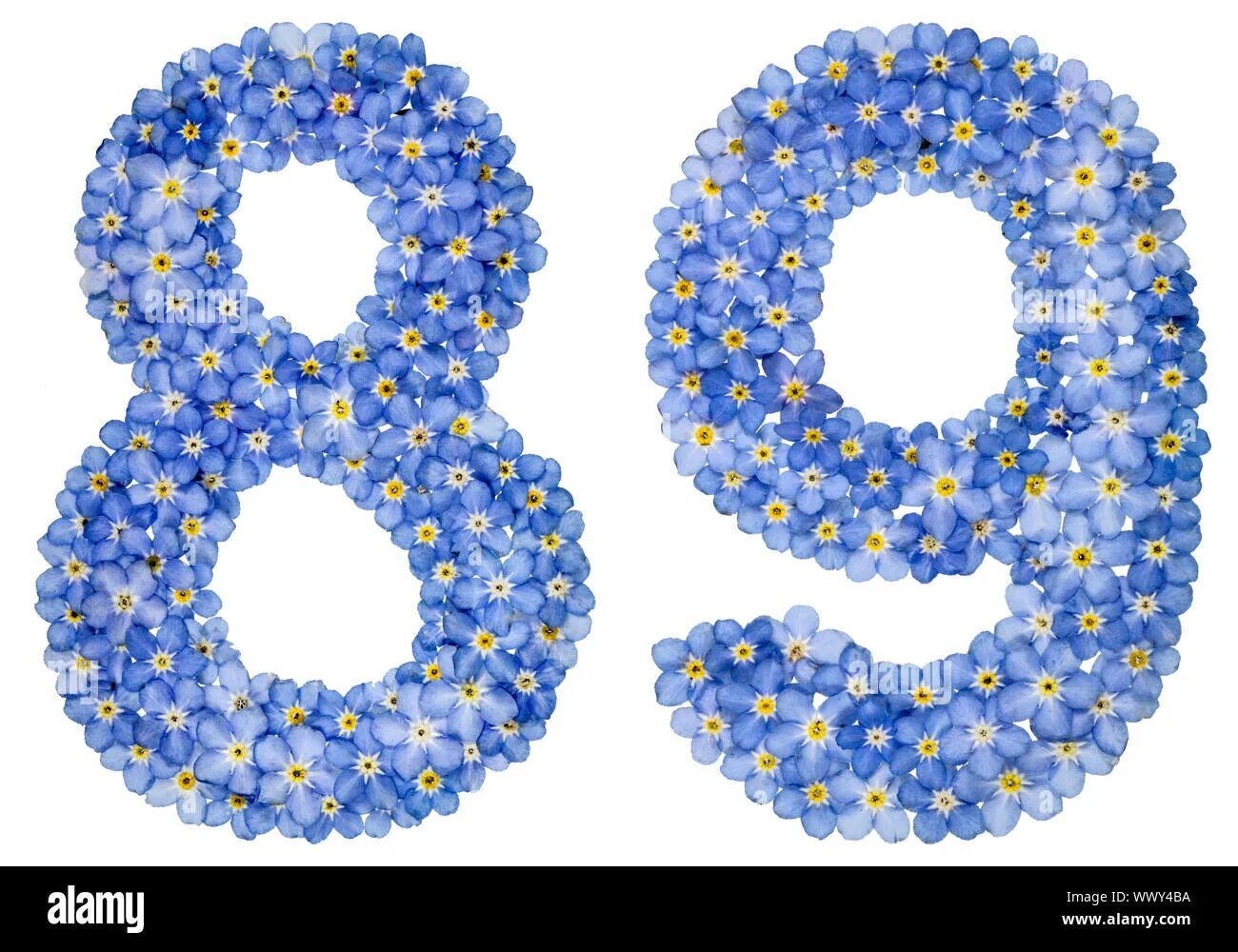 Незабудка цифрами. Цифра 89. Красивая цифра 89. Восемьдесят девять 89. Красивое число 89.