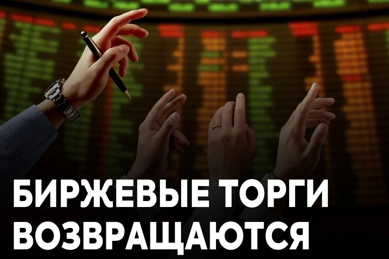 аукцион возвращается