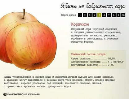 Список яблонь