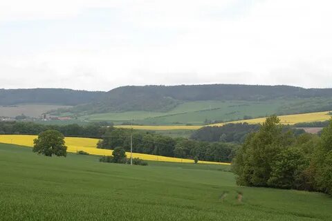 Северо германская низменность
