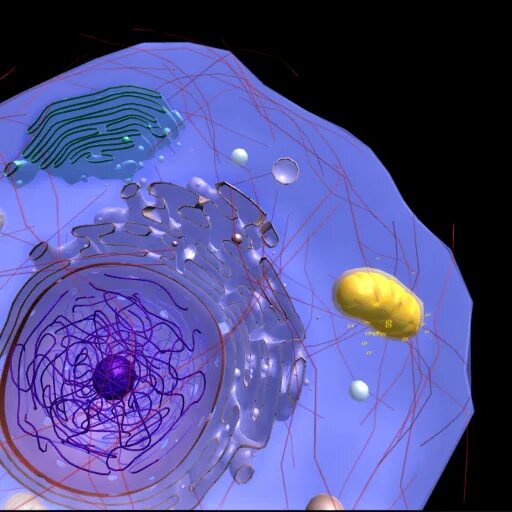 Application cells