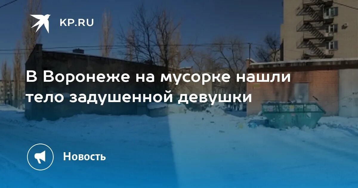 Нашли тело в мусорке в Воронеже. В Воронеже нашли тело девушки. Девушку убили около мусорки Воронежская область.