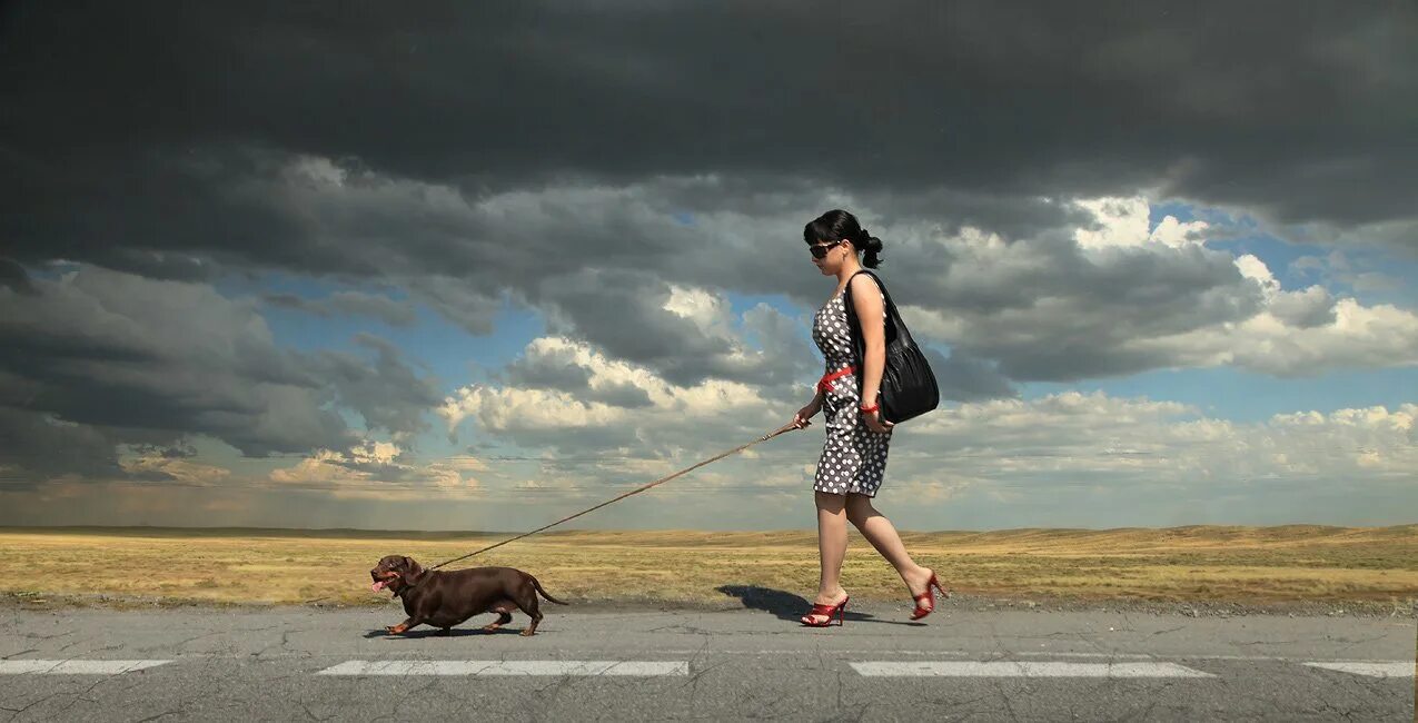 Устаю от прогулок. Человек на поводке. Человек с собакой на поводке. Прогулка с собакой. Девушка на прогулке с собакой.