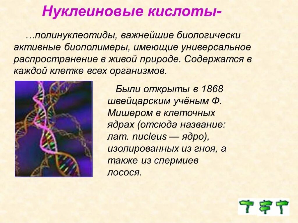 Кислота в живой клетке