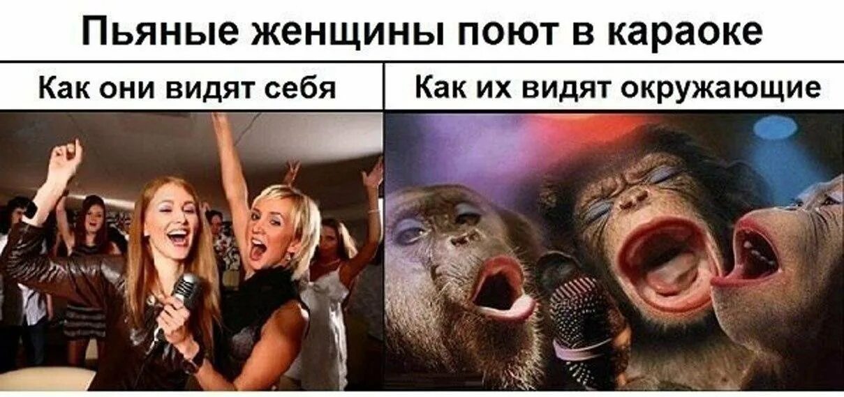 Пьяные дамы песня