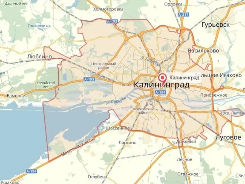 Карта России с городами Калининград. Калининград на карте России. Г.Калининград на карте России. Местоположение Калининграда на карте. Карта долголетия калининград