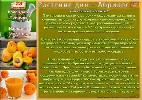 Лечение абрикосом