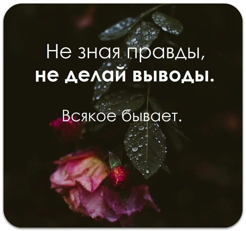 Ава на ватсап про жизнь. Цитаты со смыслом. Афоризмы про жизнь. Красивые фразы. Красивые высказывания со смыслом.