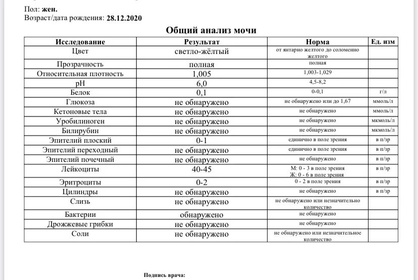 Анализ мочи норма по возрасту. Анализ мочи норма лейкоцитов у грудничка. Общий анализ мочи плотность. Общий анализ мочи плотность норма. Относительная плотность в моче норма.