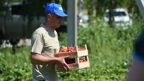 Сборы в подмосковье