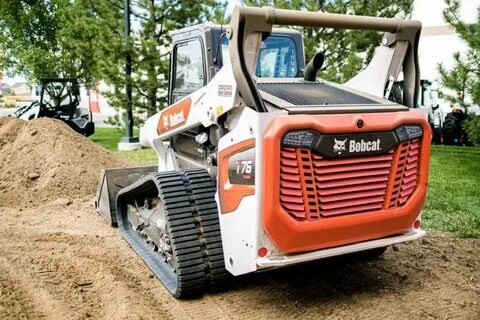 Bobcat