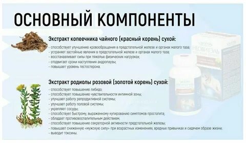 Родиола розовая инструкция