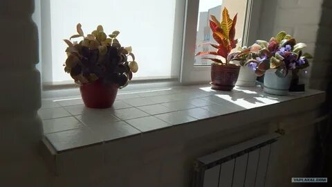Подоконник пластиковый на кухне