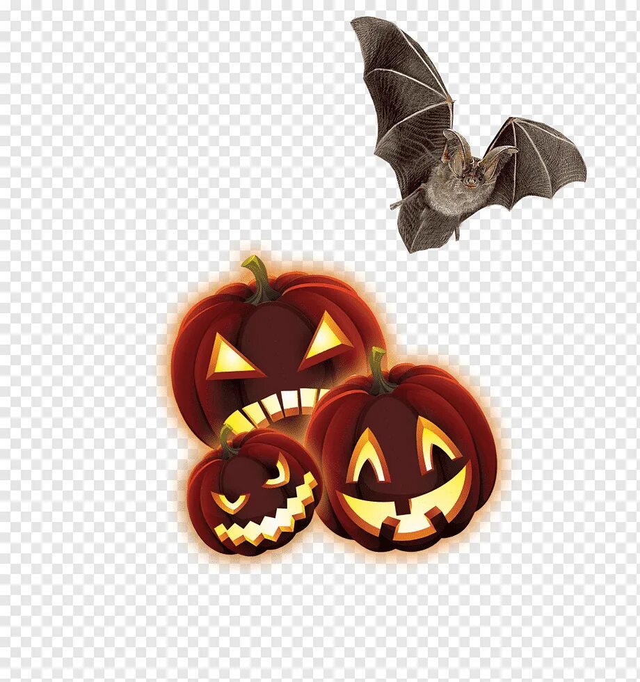 Тыква летучая мышь. Джек о лантерн хэллоуин. helloween летучая мышь тыква. хэллоуинская тыква с летучей мышью. тыква летучая мышь на хэллоуин.
