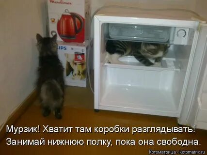 Иди в дырочку