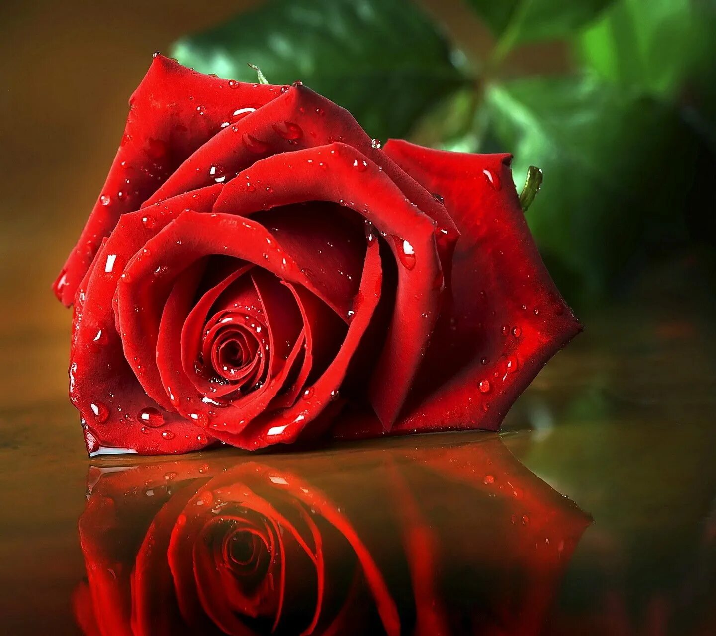 Открытка с днем рождения снохе красивые поздравления. Красные розы. Поздравления с днём рождения невестке. Красивые картинки. Цветы розы красные.