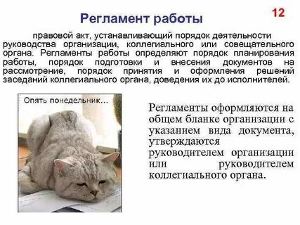 Постоянно действующим совещательным органом