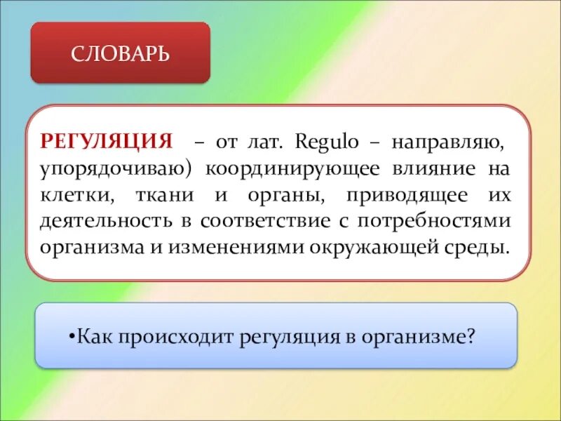 Функция регуляции поведения и деятельности. Регуляция процессов в организме. Регуляция работы организма. Жизнедеятельность и регуляция функций организма. Регуляция функций организма презентация.