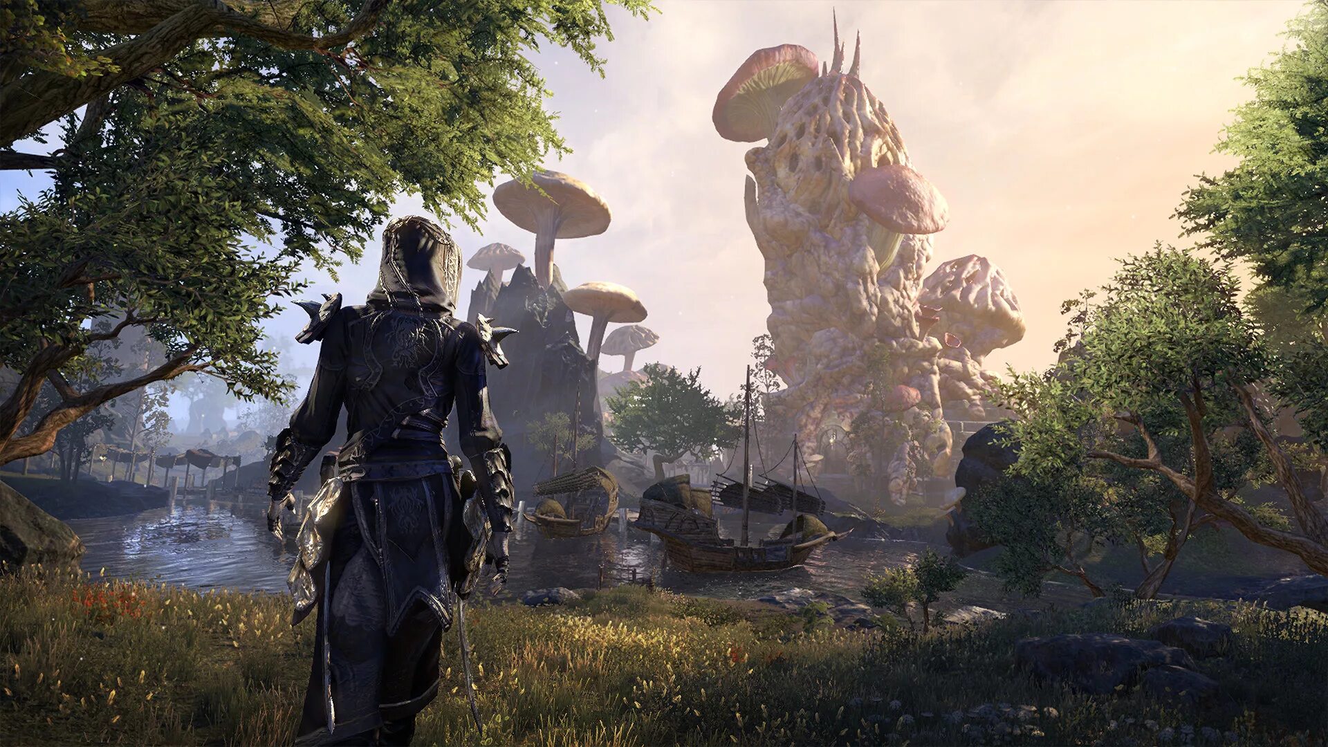 He graphics. Игра the Elder Scrolls 6. TESO ММОРПГ. The Elder Scrolls online2013.