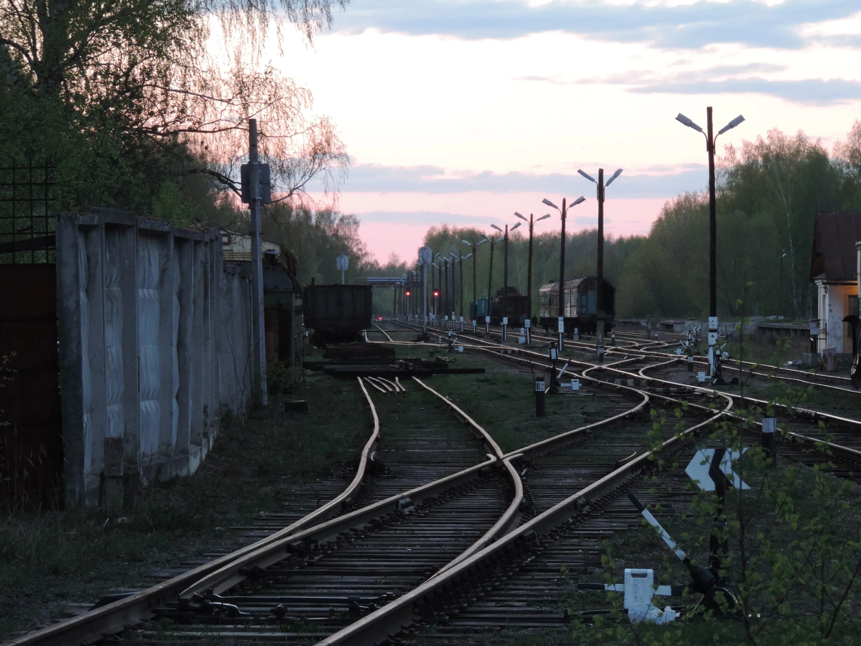 Жд станция боровая. Железнодорожная 3. Жд станция боровая спб. Боровая станция электричек. Деревня росляки.