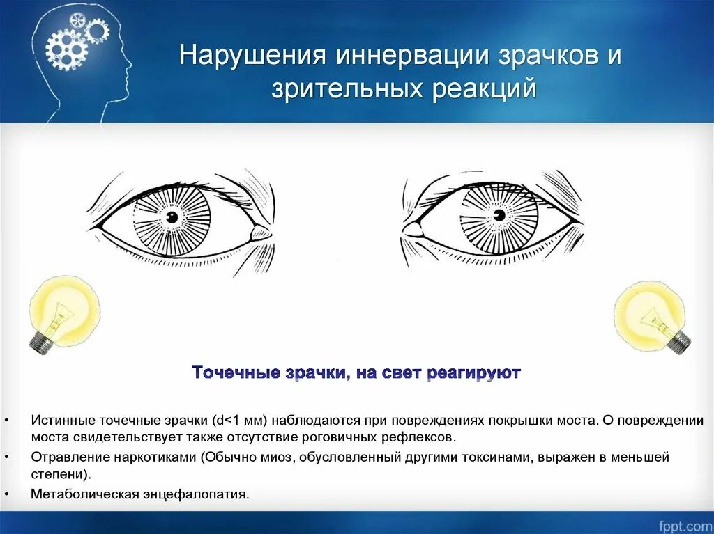 Зрачки и пульс проверить