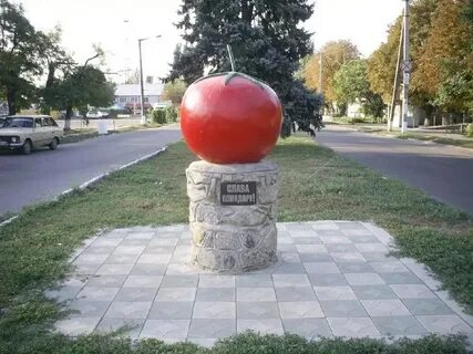Каменка запорожская обл