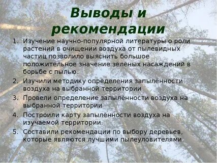 Как деревья очищают воздух