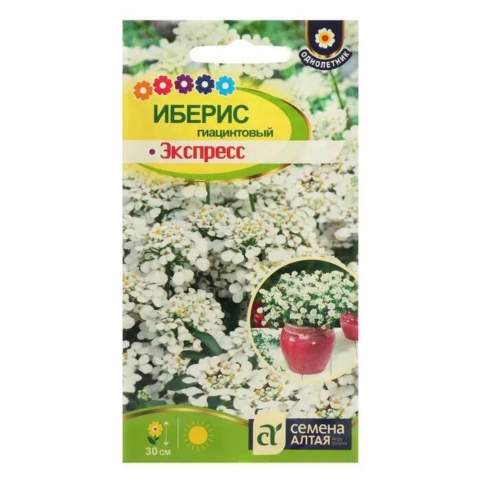 Экспресс семена. Арбуз галактика 1 гр/10. Экспресс семена. Экспресс семена. Гавриш шоп семена укроп aligator.