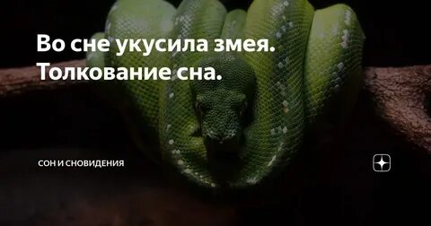 Укус во сне