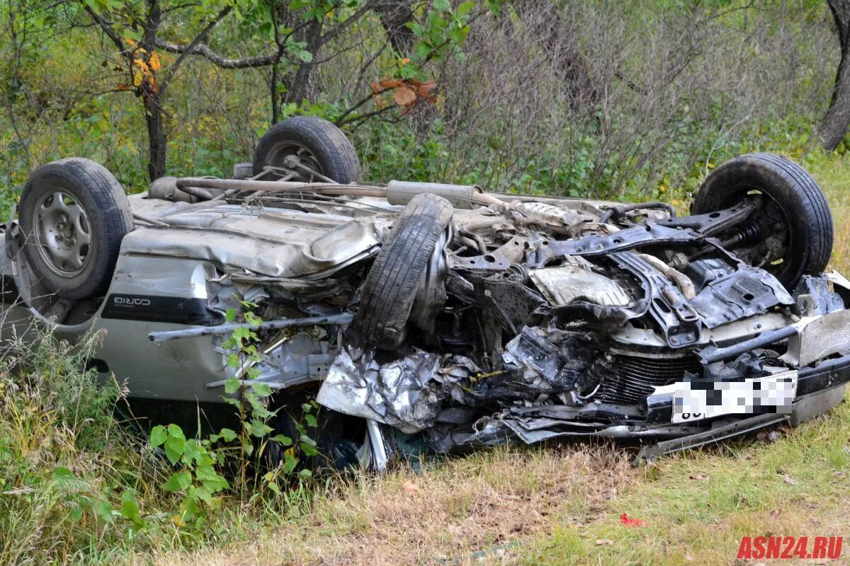Авария в благовещенске сегодня. Благовещенск автобус авария. Дтп благовещенск сегодня. Дтп благовещенск сегодня. Дтп благовещенск амурская область за сутки.