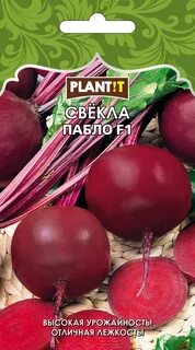 Свекла пабло