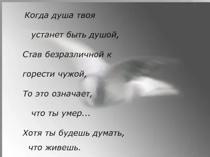Душа моя есть меня нет