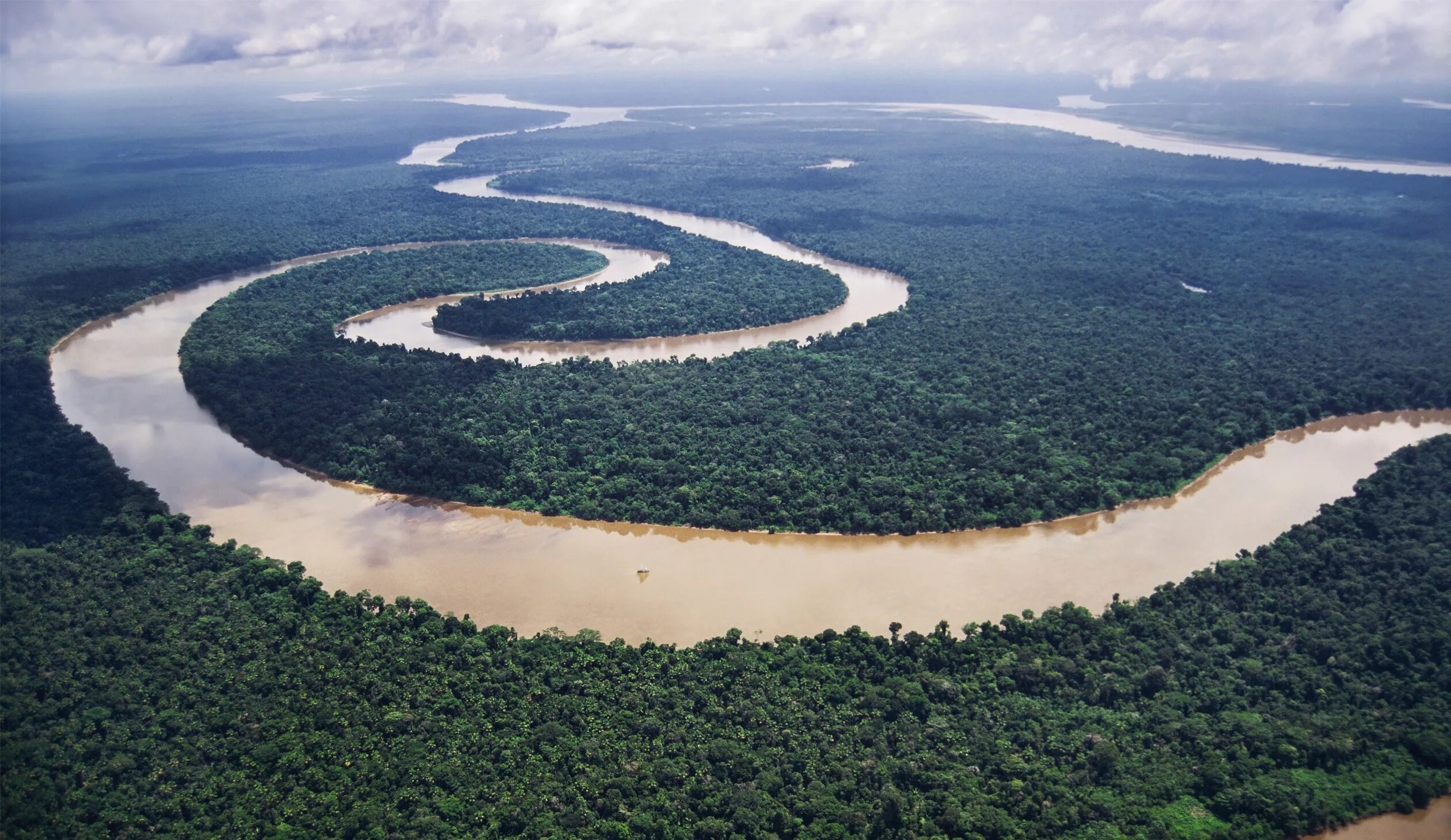 Озера бразилии 7 класс. Бразилия Амазонская низменность. Южная Америка Амазонская низменность. Амазонка река Укаяли.