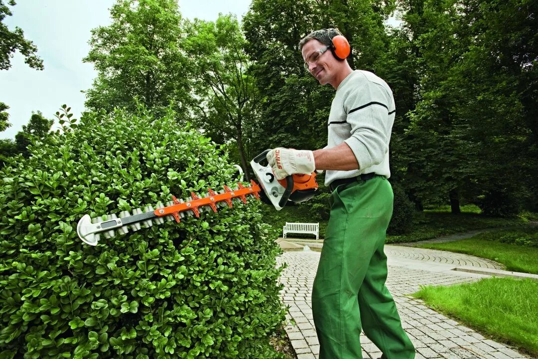 Подрежьте кусты