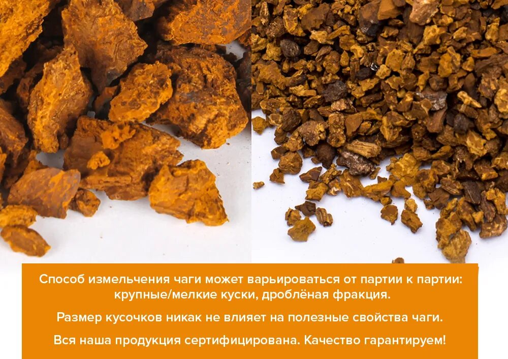 Сколько можно хранить чагу