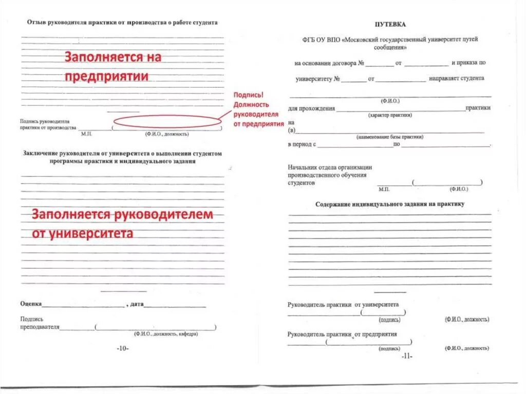 Задание на практику пример заполнения Характеристика на студента в 2024 году примеры