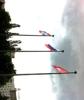 Триколор пермь телефон